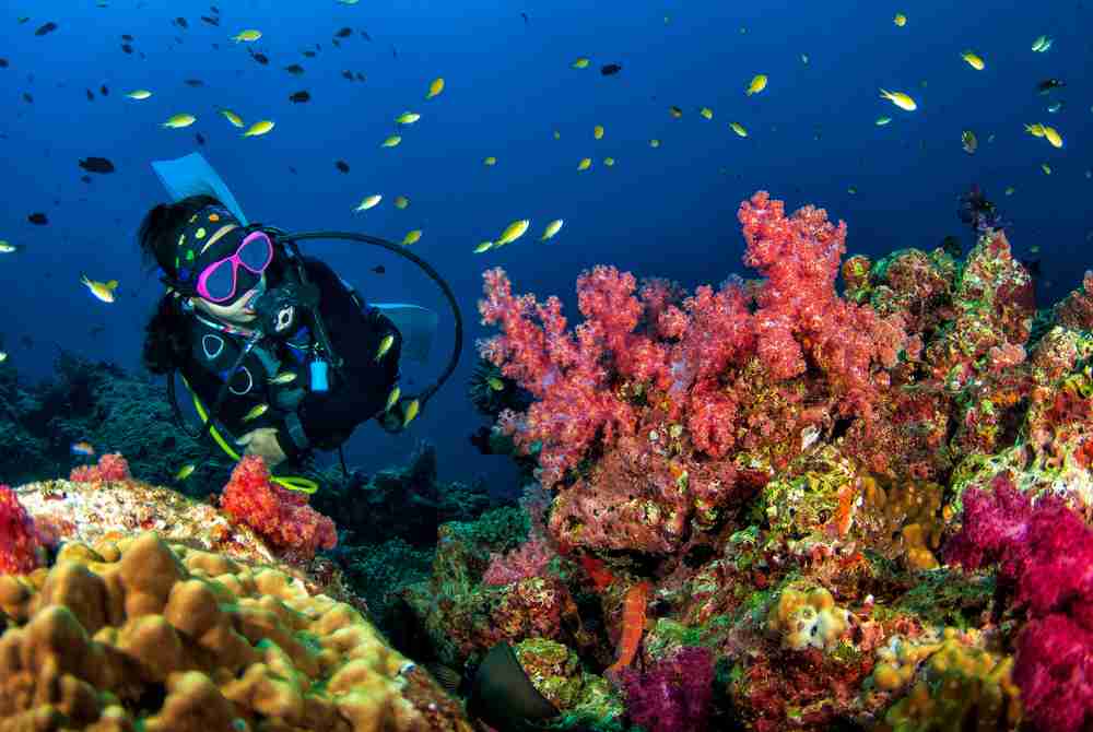 a scuba diver under water