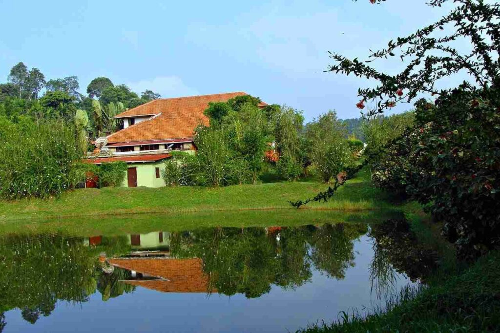 a house with a red roof and a pond