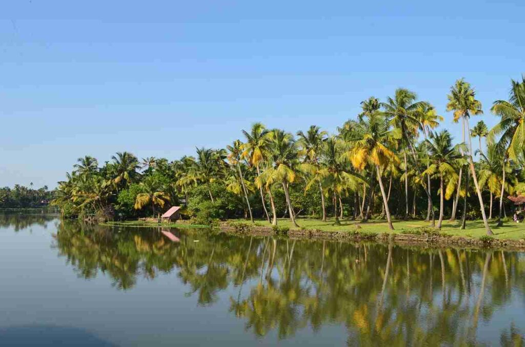 a body of water with trees and a hut on the side