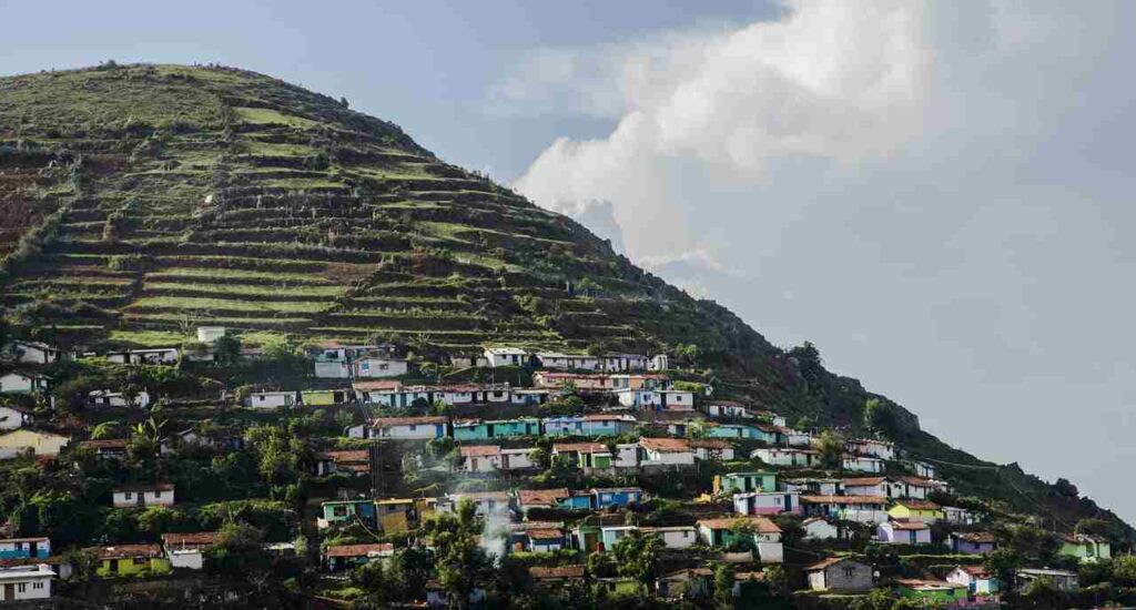 a group of houses on a hill