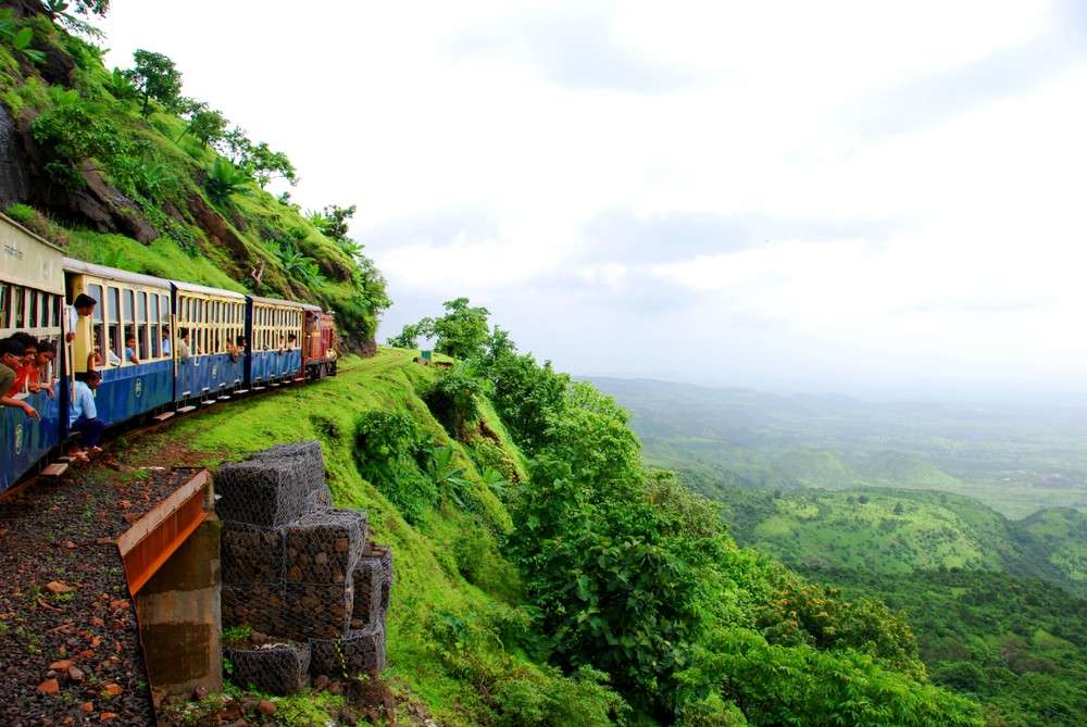 a train on a hill with greenery everywhere