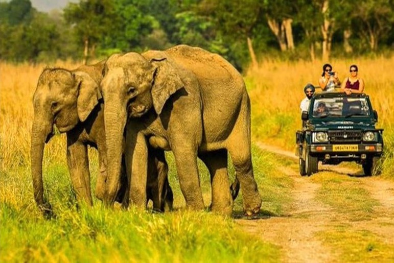 Jim Corbett National Park, Uttarakhand