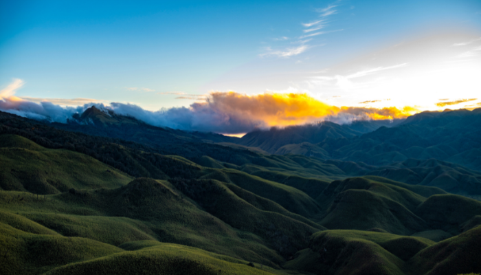 Dzukou Valley, Nagaland