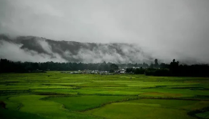 Ziro Valley, Arunachal Pradesh