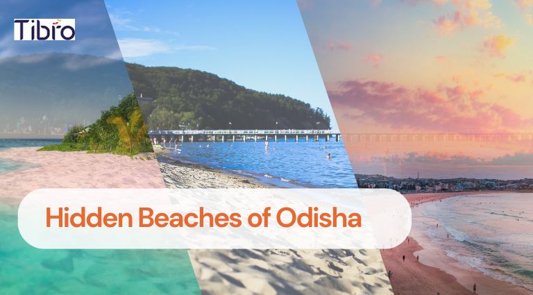 Hidden Beaches of Odisha