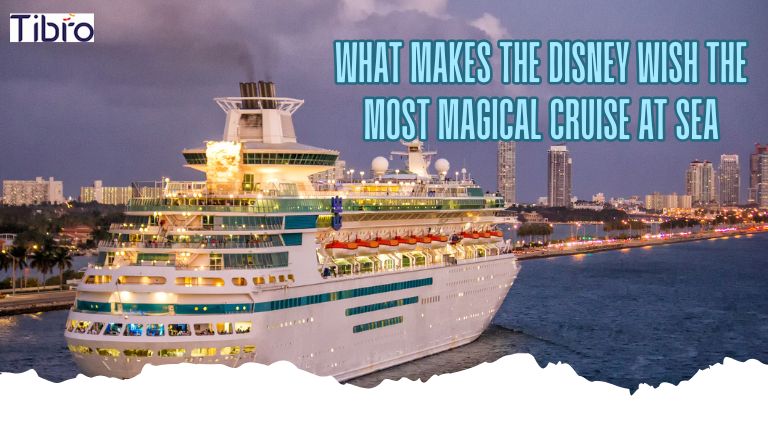 Disney Magical Cruise