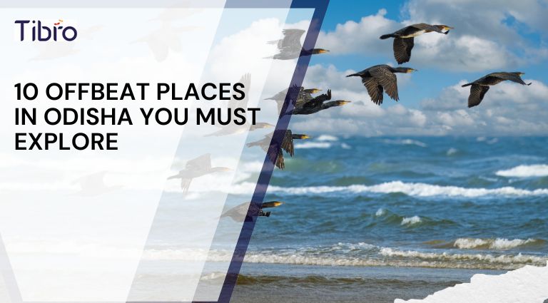 10 Offbeat Places in Odisha You Must Explore